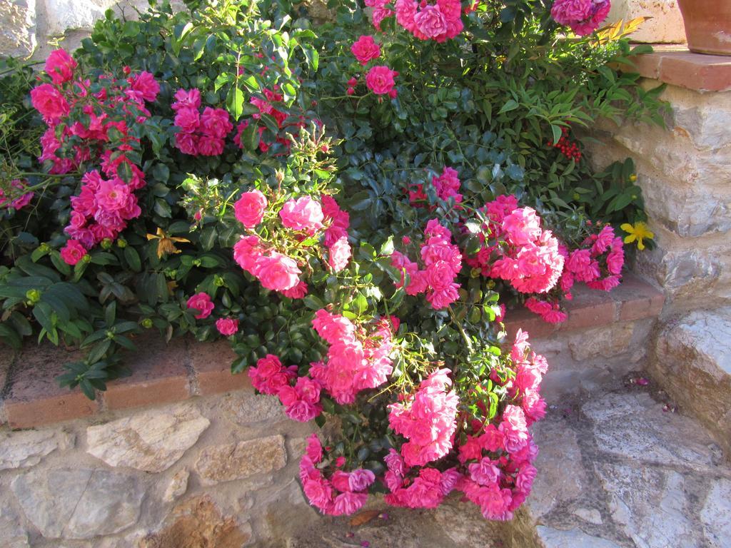 Agriturismo Borghetto Il Montino Rapolano Terme Exterior foto