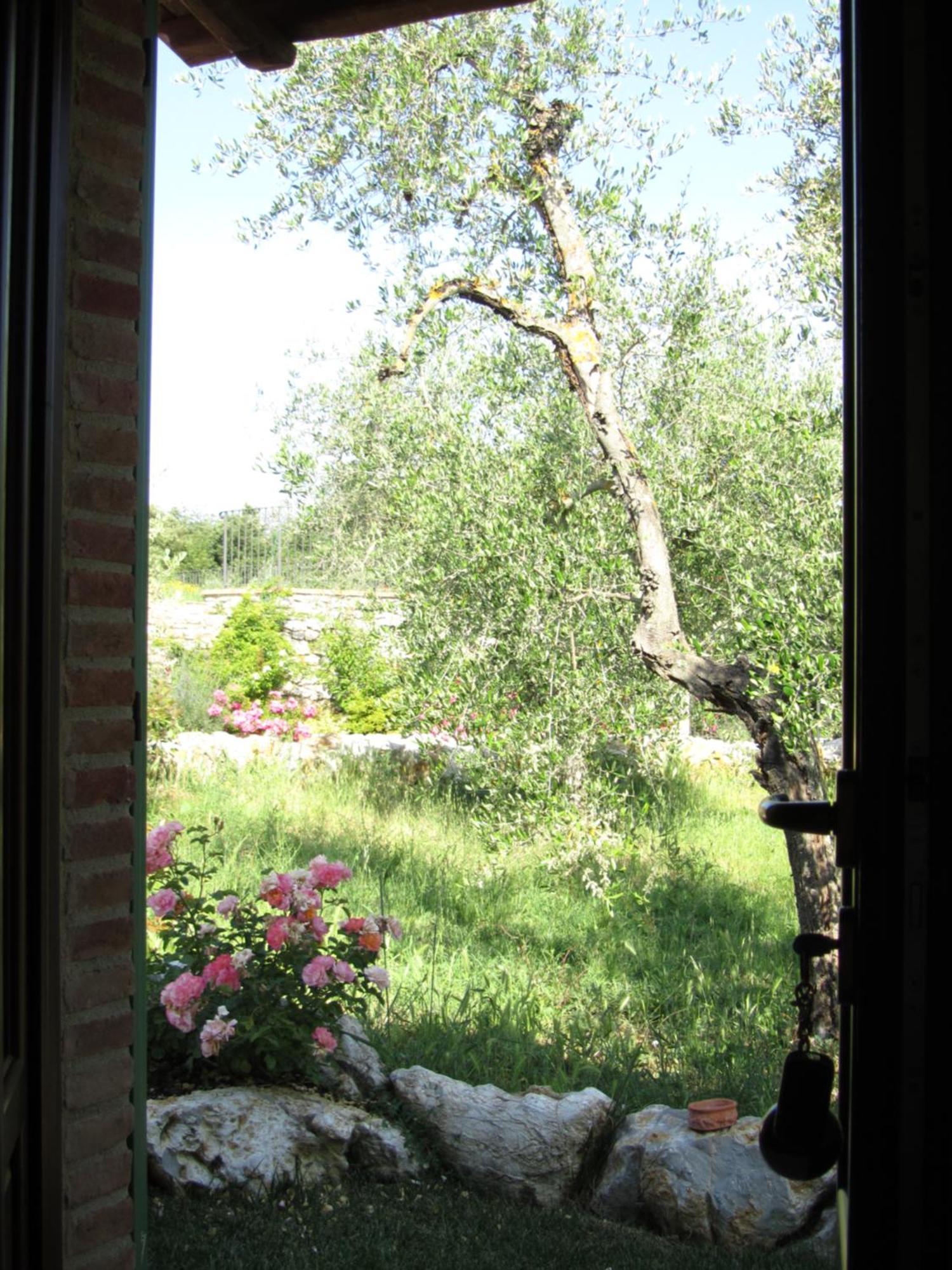 Agriturismo Borghetto Il Montino Rapolano Terme Exterior foto