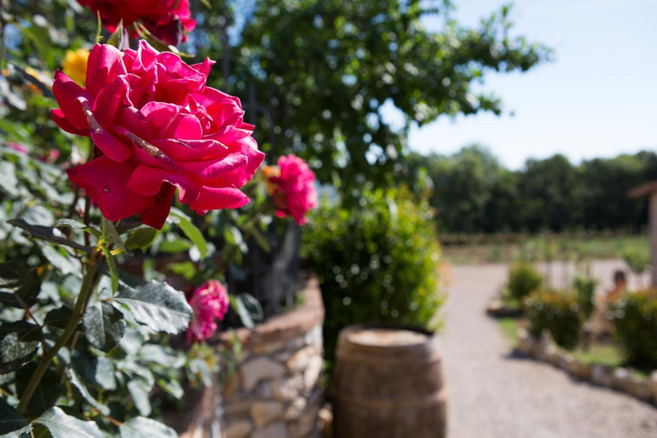 Agriturismo Borghetto Il Montino Rapolano Terme Exterior foto