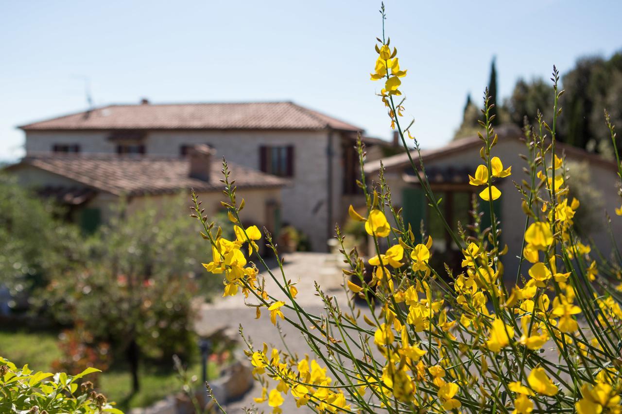 Agriturismo Borghetto Il Montino Rapolano Terme Exterior foto